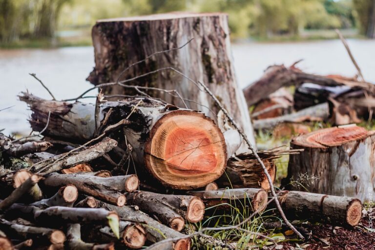 The Role of Fences in Erosion Control: Sustainable Land Management