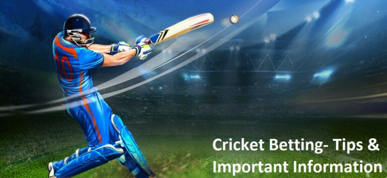 11xplay: The Best Cricket Betting Platform for Live and Virtual Matches