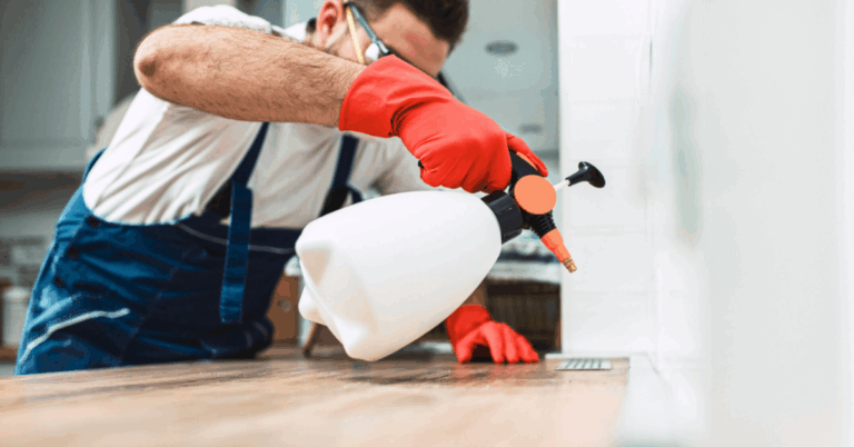 Breathe Safe: Why You Need a Professional Formaldehyde Removal Service in Singapore