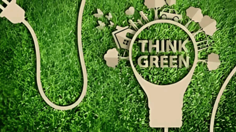 Green Startups 2025: How Sustainable Business Ideas Are Winning in India
