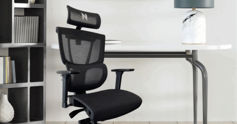 Hinomi Review: A Deep Dive Into Premium Ergonomic Chairs