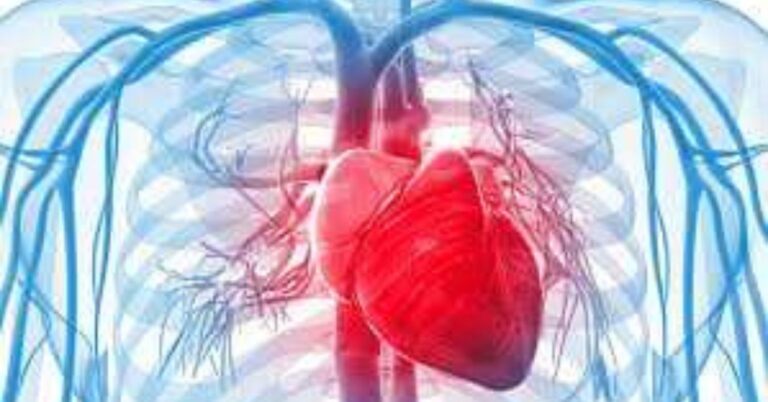 Innovative Approaches to Managing High Cholesterol: Stem Cell Treatment in India