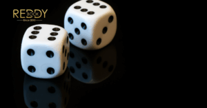 Your Ultimate Casino Gaming Journey Starts at Reddy Book Club